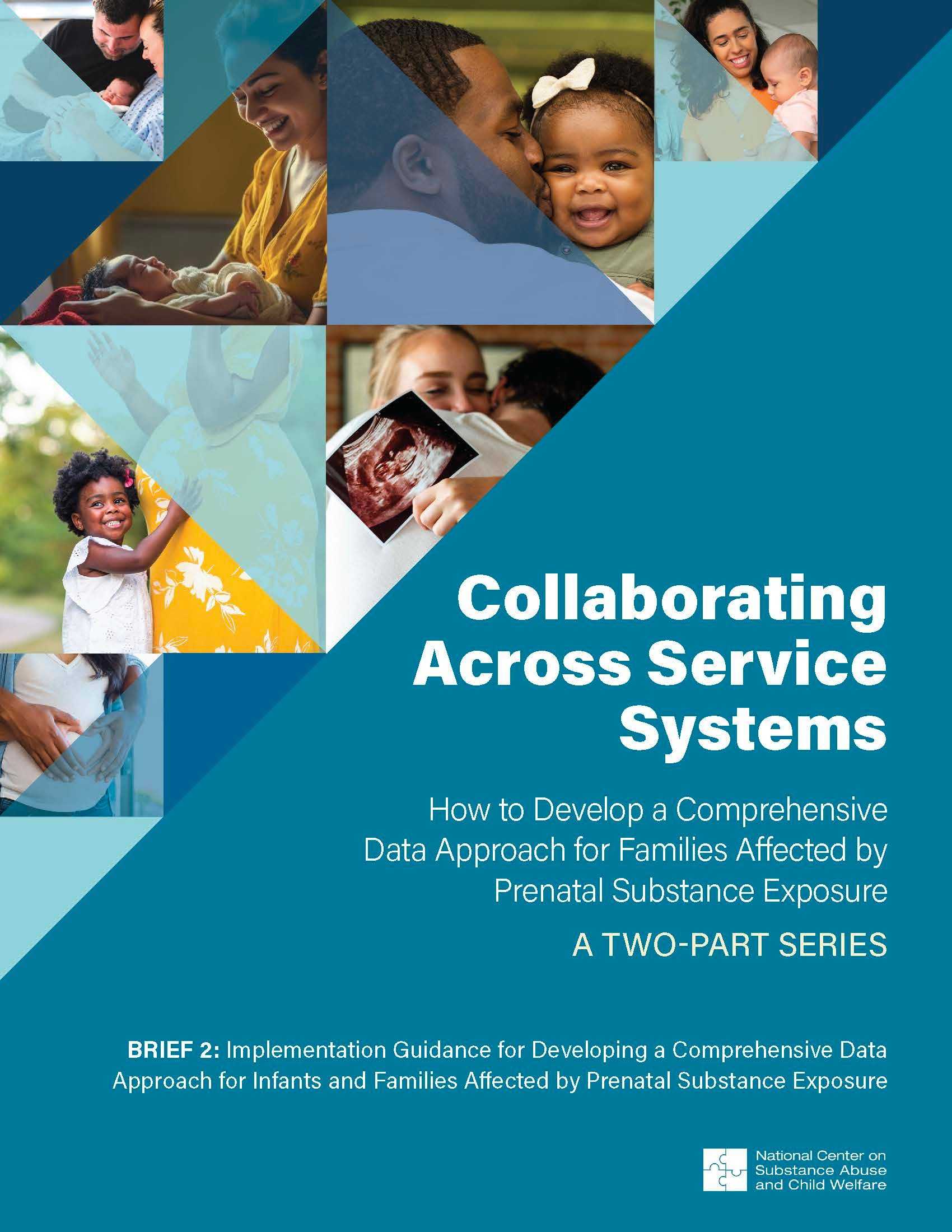 Brief 2: Implementation Guidance for Developing a Comprehensive Data Approach for Infants and Families Affected by Prenatal Substance Exposure