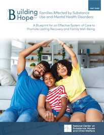 Part 3: Implementing and Sustaining the Essential Pillars of an Effective System of Care: Site Examples from Key Federal Initiatives