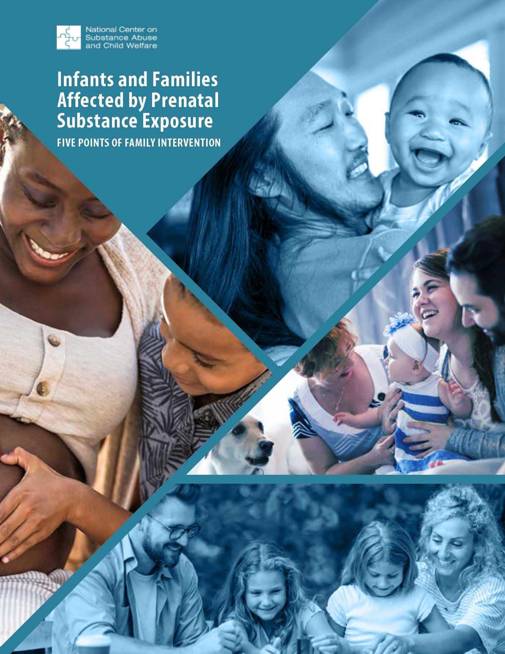 Infants and Families Affected by Prenatal Substance Exposure: Five points of family intervention