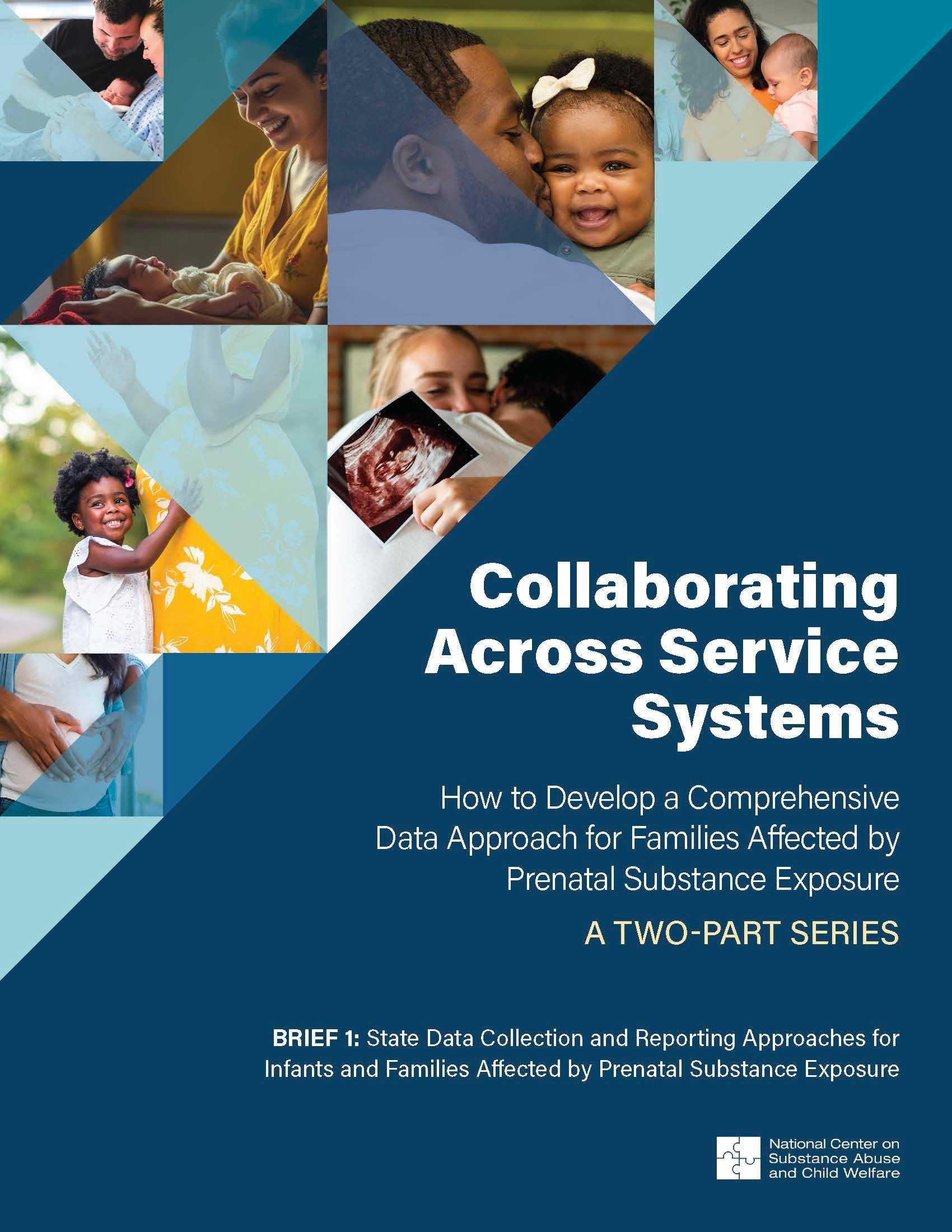 Brief 1: State Data Collection and Reporting Approaches for Infants and Families Affected by Prenatal Substance Exposure 