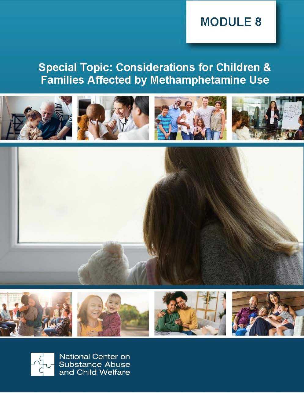 Module 8: Special Topic: Considerations for Children & Families Affected by Methamphetamine Use