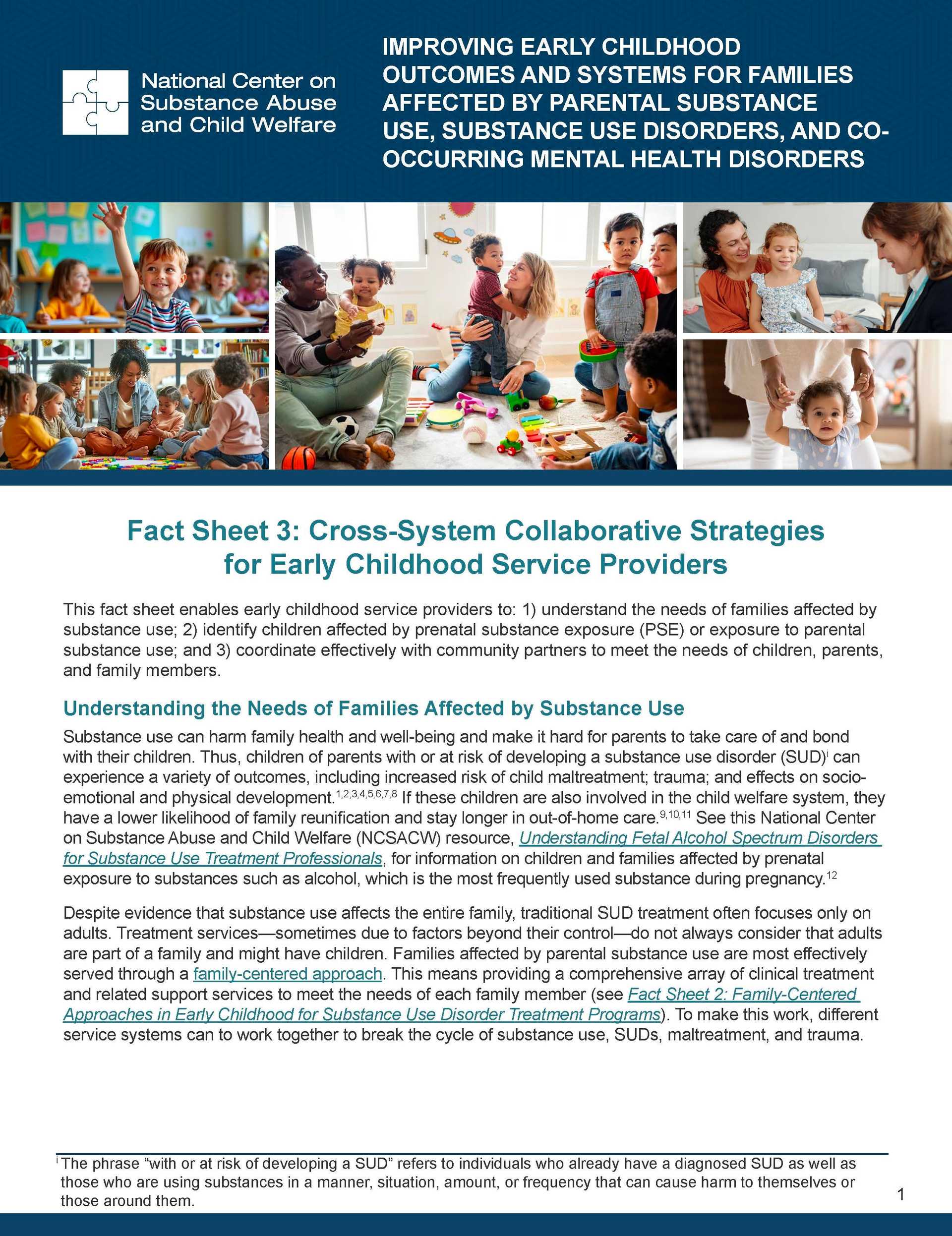 Fact Sheet 3: Cross-System Collaborative Strategies for Early Childhood Service Providers