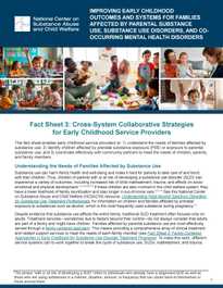 Fact Sheet 3: Cross-System Collaborative Strategies for Early Childhood Service Providers