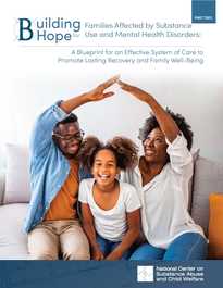 Part 2: Summary and Lessons of the Regional Partnership Grants and In-Depth Technical Assistance Programs: Key Federal Initiatives to Improve Outcomes for Families Affected by Substance Use Disorders