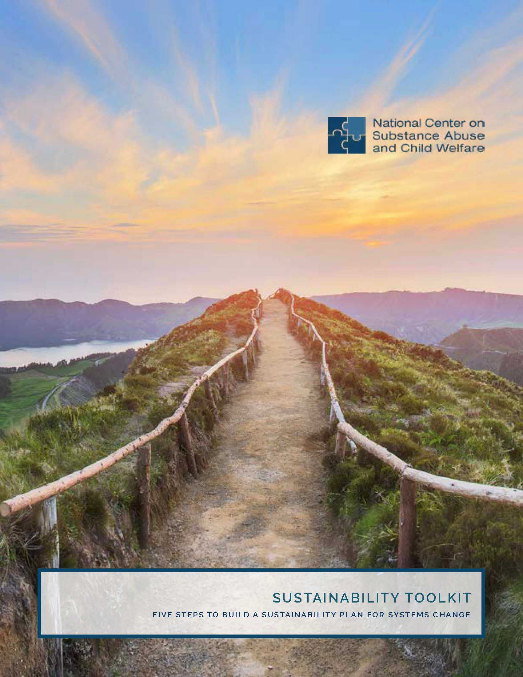 Sustainability Planning Toolkit - Five Steps to Build a Sustainability Plan for Systems Change