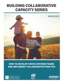 Building  Collaborative Capacity Series: Module 2 – Setting the Collaborative Foundation: Addressing Values and Developing Shared Principles and Trust in Collaborative Teams
