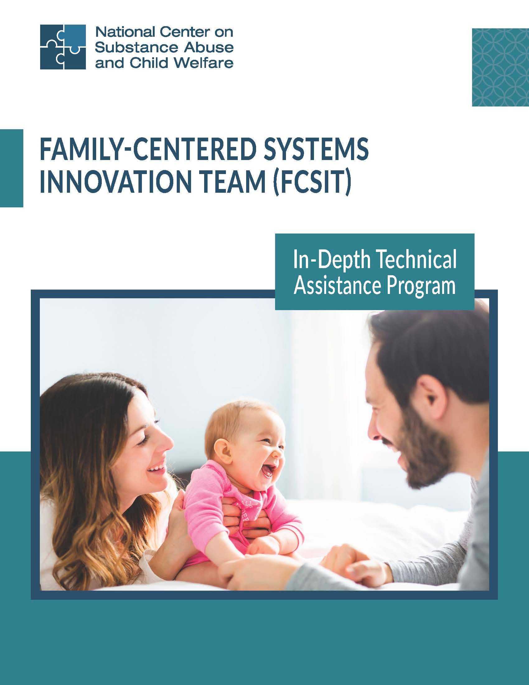 In-Depth Technical Assistance Program