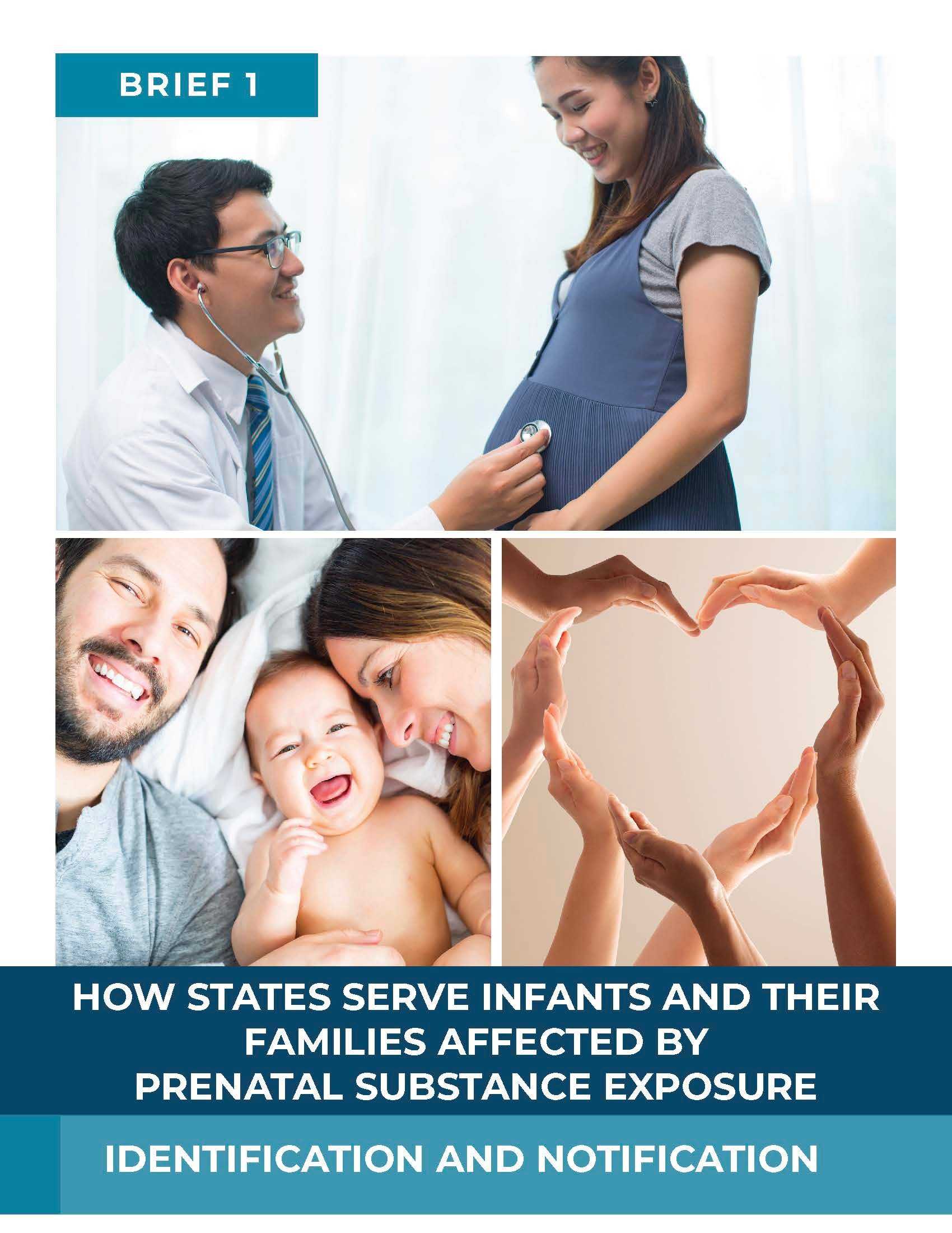 How States Serve Infants and Their Families Affected by Prenatal Substance Exposure: Brief 1 – Identification and Notification