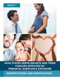 How States Serve Infants and Their Families Affected by Prenatal Substance Exposure: Brief 1 – Identification and Notification