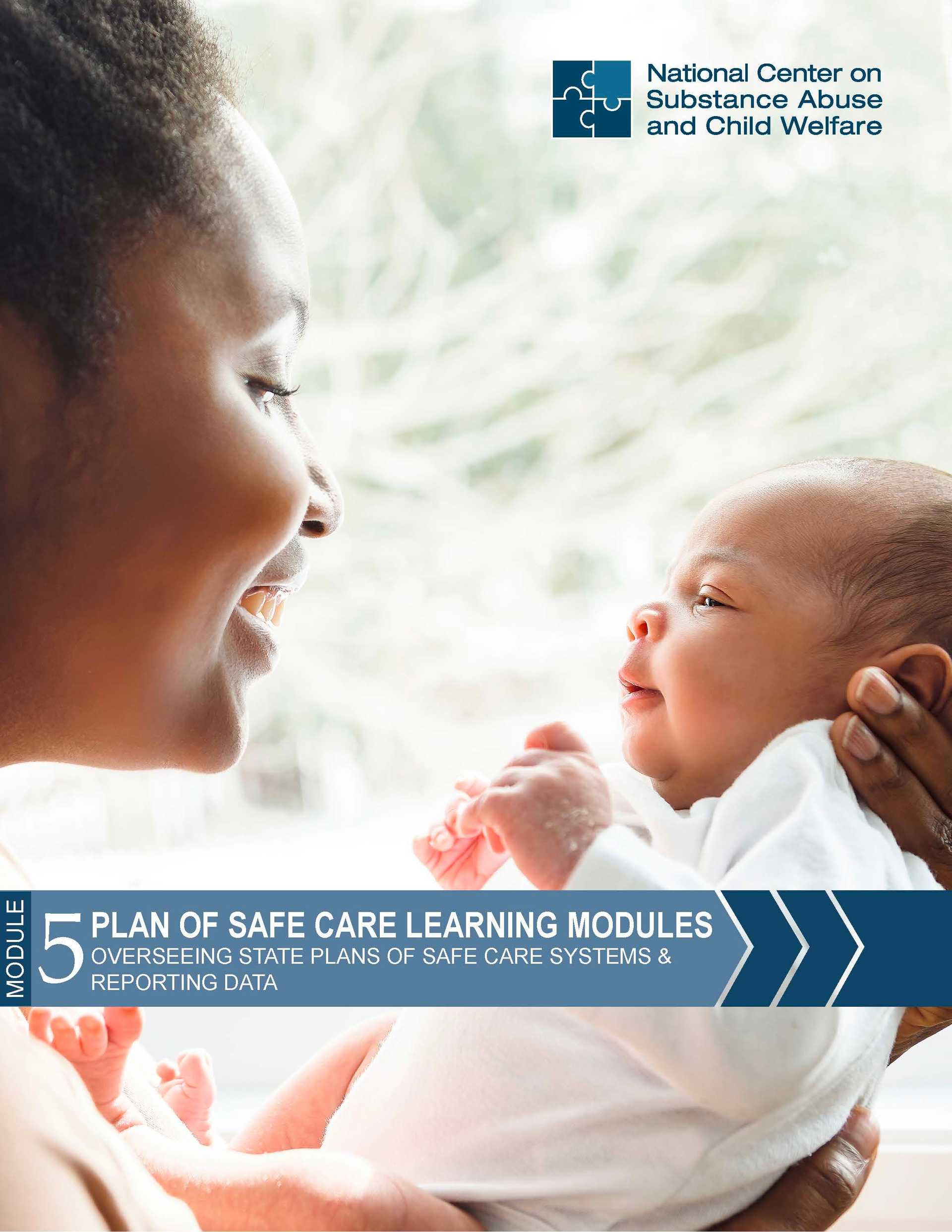 Module 5: Overseeing State Plans of Safe Care Systems and Reporting Data