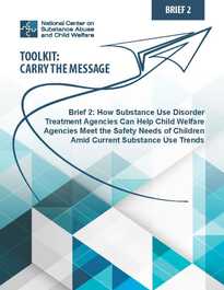 Brief 2: How Substance Use Disorder Treatment and Recovery Agencies Can Partner with Child Welfare Systems to Deliver Training to Child Welfare Professionals to Ensure Child Safety